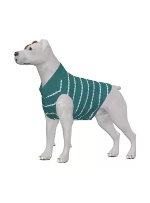 Dog Clothing